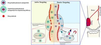 Polymer-based nanosystems and their applications in bone anticancer therapy